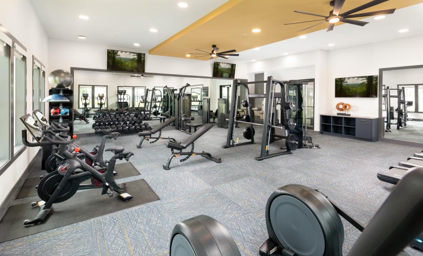 Wellness Studio