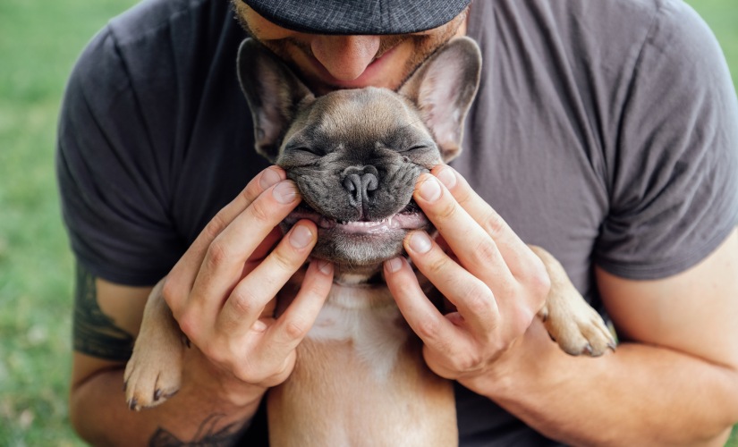 Pet Spa
